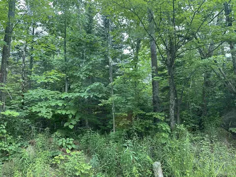 On Fr 484, Wakefield, MI 49968 photo 9