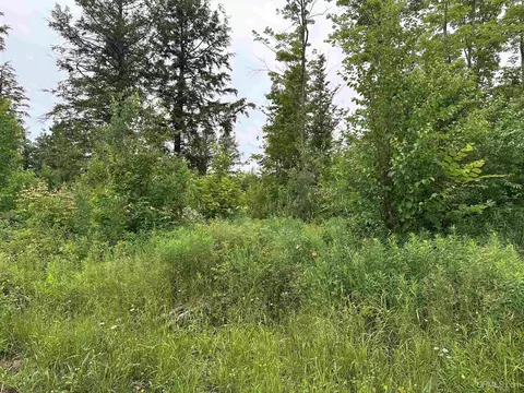On Fr 484, Wakefield, MI 49968 photo 3