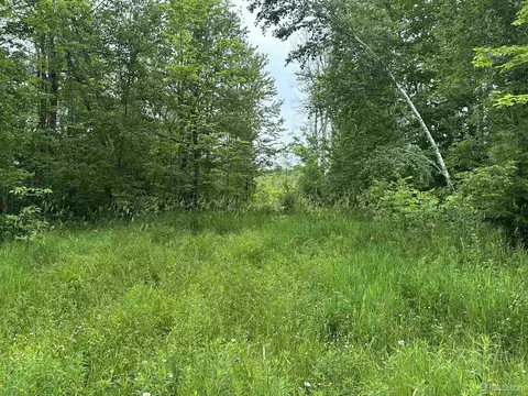 On Fr 484, Wakefield, MI 49968 photo 14
