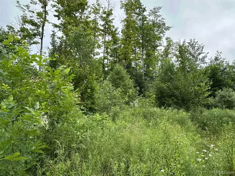 On Fr 484, Wakefield, MI 49968 photo 16
