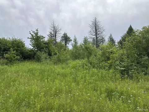 On Fr 484, Wakefield, MI 49968 photo 7