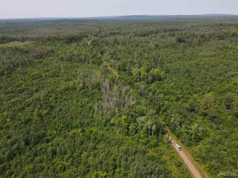 On Fr 484, Wakefield, MI 49968 photo 28
