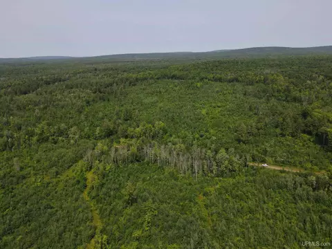On Fr 484, Wakefield, MI 49968 photo 30