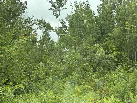 On Fr 484, Wakefield, MI 49968 photo 11