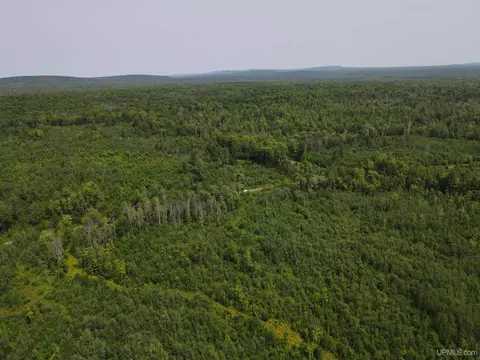 On Fr 484, Wakefield, MI 49968 photo 32