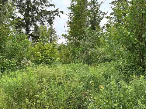 On Fr 484, Wakefield, MI 49968 photo 12