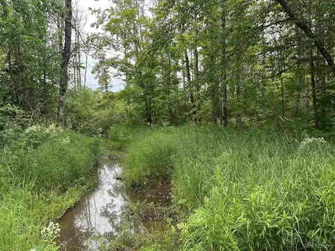 On Fr 484, Wakefield, MI 49968 photo 18