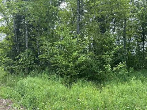 On Fr 484, Wakefield, MI 49968 photo 15