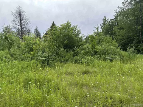 On Fr 484, Wakefield, MI 49968 photo 6