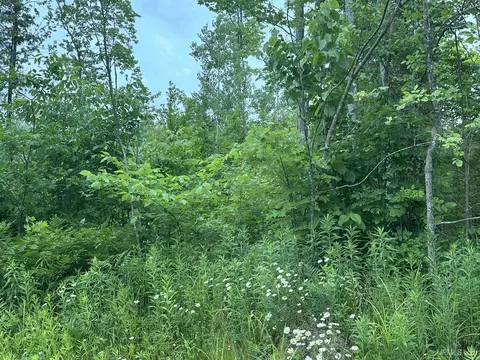 On Fr 484, Wakefield, MI 49968 photo 20