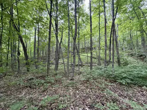 Exterior - 21342 Royce, Hancock, MI 49930 photo 22 of 26