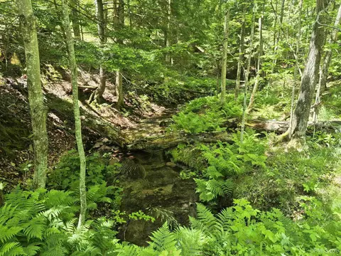 8 Acres Nestor, Munising, MI 49862 photo 14