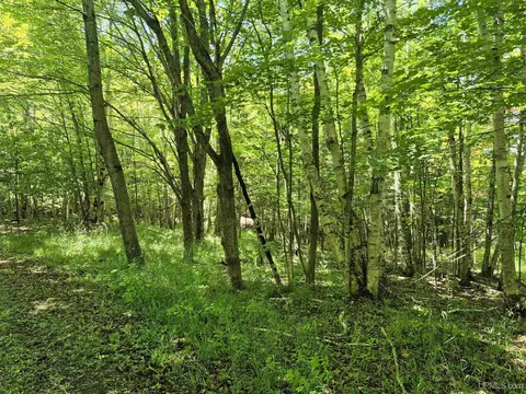 8 Acres Nestor, Munising, MI 49862 photo 9