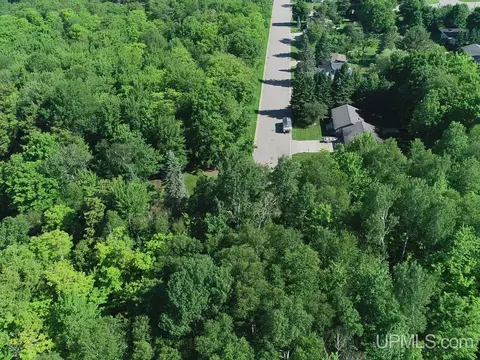 8 Acres Nestor, Munising, MI 49862 photo 5