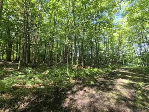 8 Acres Nestor, Munising, MI 49862 photo 36