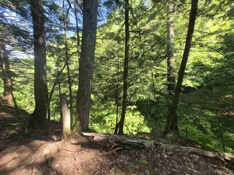 8 Acres Nestor, Munising, MI 49862 photo 41