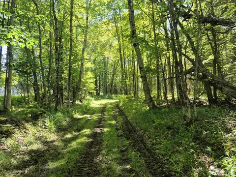 8 Acres Nestor, Munising, MI 49862 photo 6