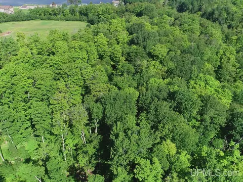 8 Acres Nestor, Munising, MI 49862 photo 43