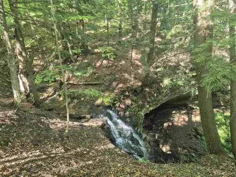 8 Acres Nestor, Munising, MI 49862 photo 17