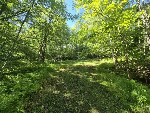 8 Acres Nestor, Munising, MI 49862 photo 32