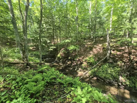 8 Acres Nestor, Munising, MI 49862 photo 27