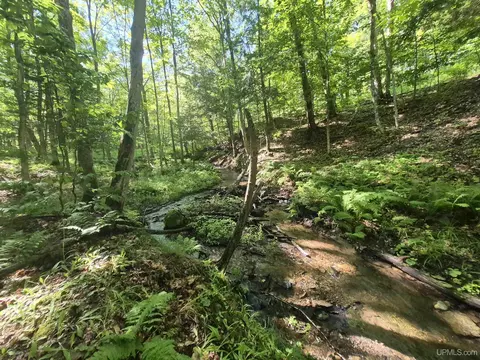 8 Acres Nestor, Munising, MI 49862 photo 28