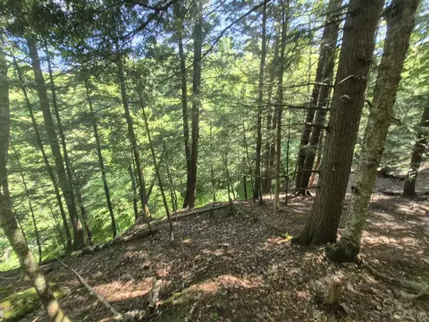 8 Acres Nestor, Munising, MI 49862 photo 39