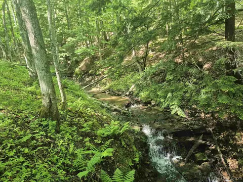 8 Acres Nestor, Munising, MI 49862 photo 24