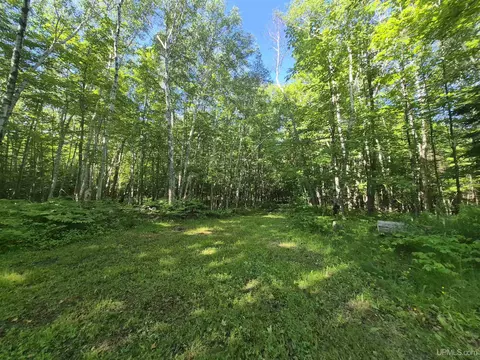 8 Acres Nestor, Munising, MI 49862 photo 18
