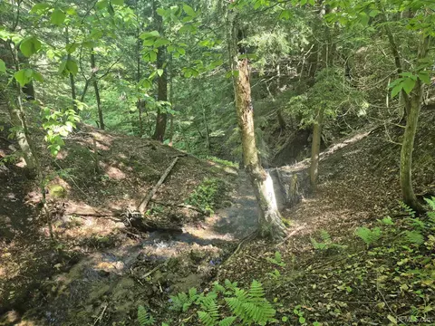 8 Acres Nestor, Munising, MI 49862 photo 23