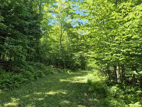 8 Acres Nestor, Munising, MI 49862 photo 15