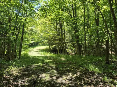 8 Acres Nestor, Munising, MI 49862 photo 10