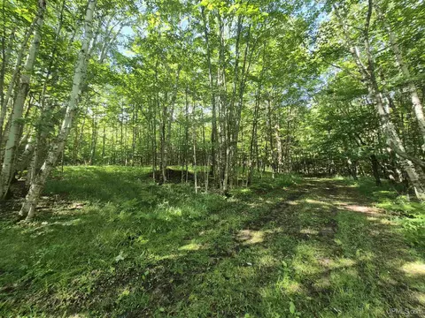 8 Acres Nestor, Munising, MI 49862 photo 19