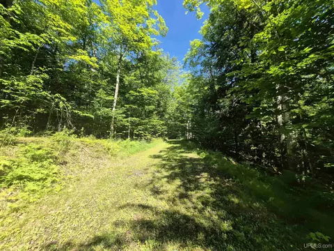 8 Acres Nestor, Munising, MI 49862 photo 34