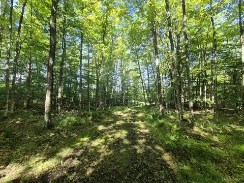8 Acres Nestor, Munising, MI 49862 photo 37