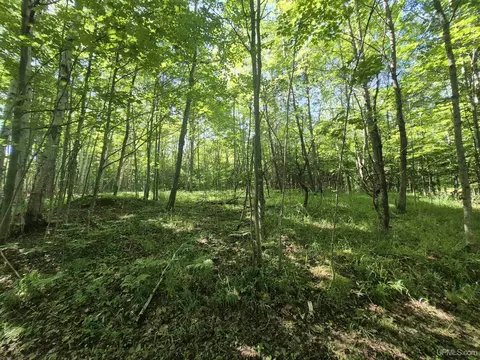 8 Acres Nestor, Munising, MI 49862 photo 21
