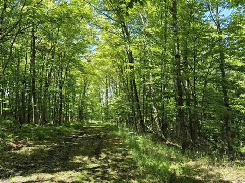 8 Acres Nestor, Munising, MI 49862 photo 11