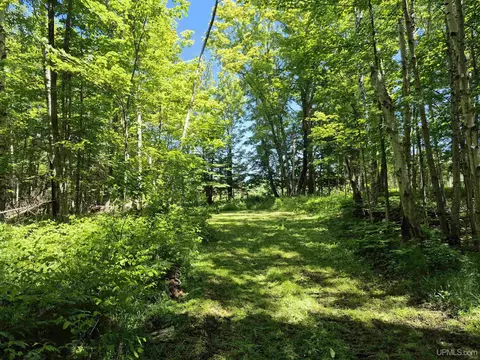 8 Acres Nestor, Munising, MI 49862 photo 8