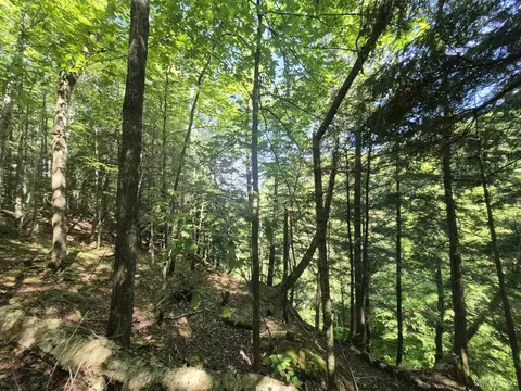 8 Acres Nestor, Munising, MI 49862 photo 40