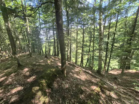 8 Acres Nestor, Munising, MI 49862 photo 38