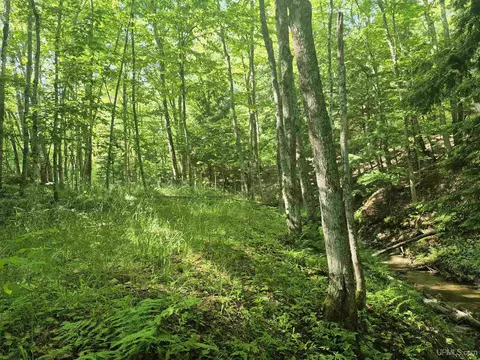 8 Acres Nestor, Munising, MI 49862 photo 25