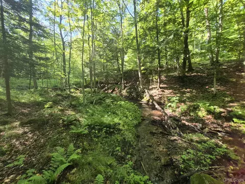 8 Acres Nestor, Munising, MI 49862 photo 29
