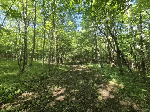 8 Acres Nestor, Munising, MI 49862 photo 20