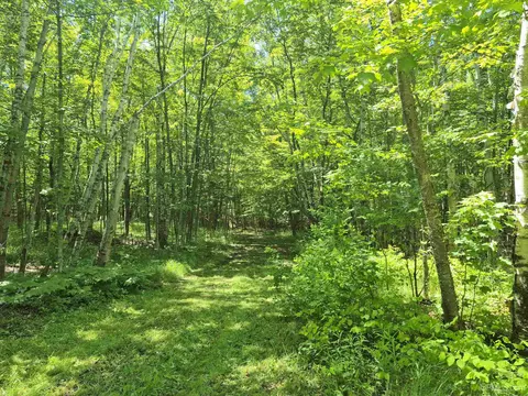 8 Acres Nestor, Munising, MI 49862 photo 7
