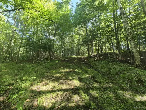 8 Acres Nestor, Munising, MI 49862 photo 31