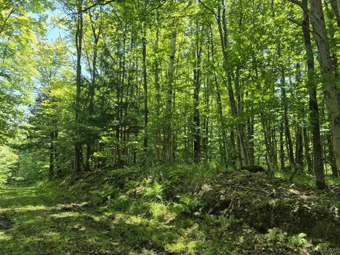 8 Acres Nestor, Munising, MI 49862 photo 12