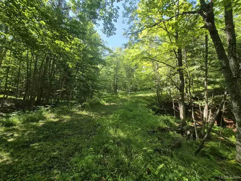 8 Acres Nestor, Munising, MI 49862 photo 30