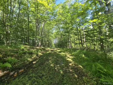8 Acres Nestor, Munising, MI 49862 photo 35
