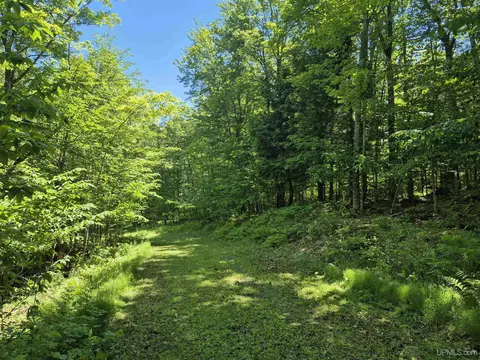 8 Acres Nestor, Munising, MI 49862 photo 16