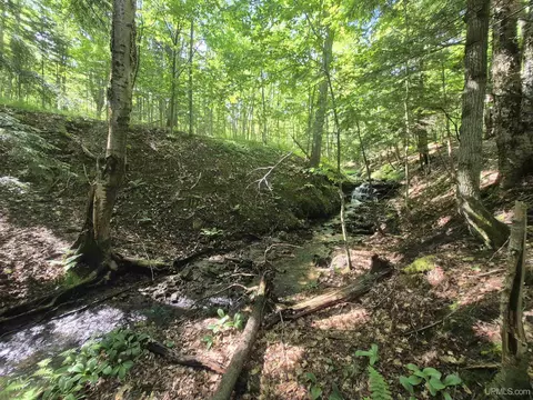 8 Acres Nestor, Munising, MI 49862 photo 42